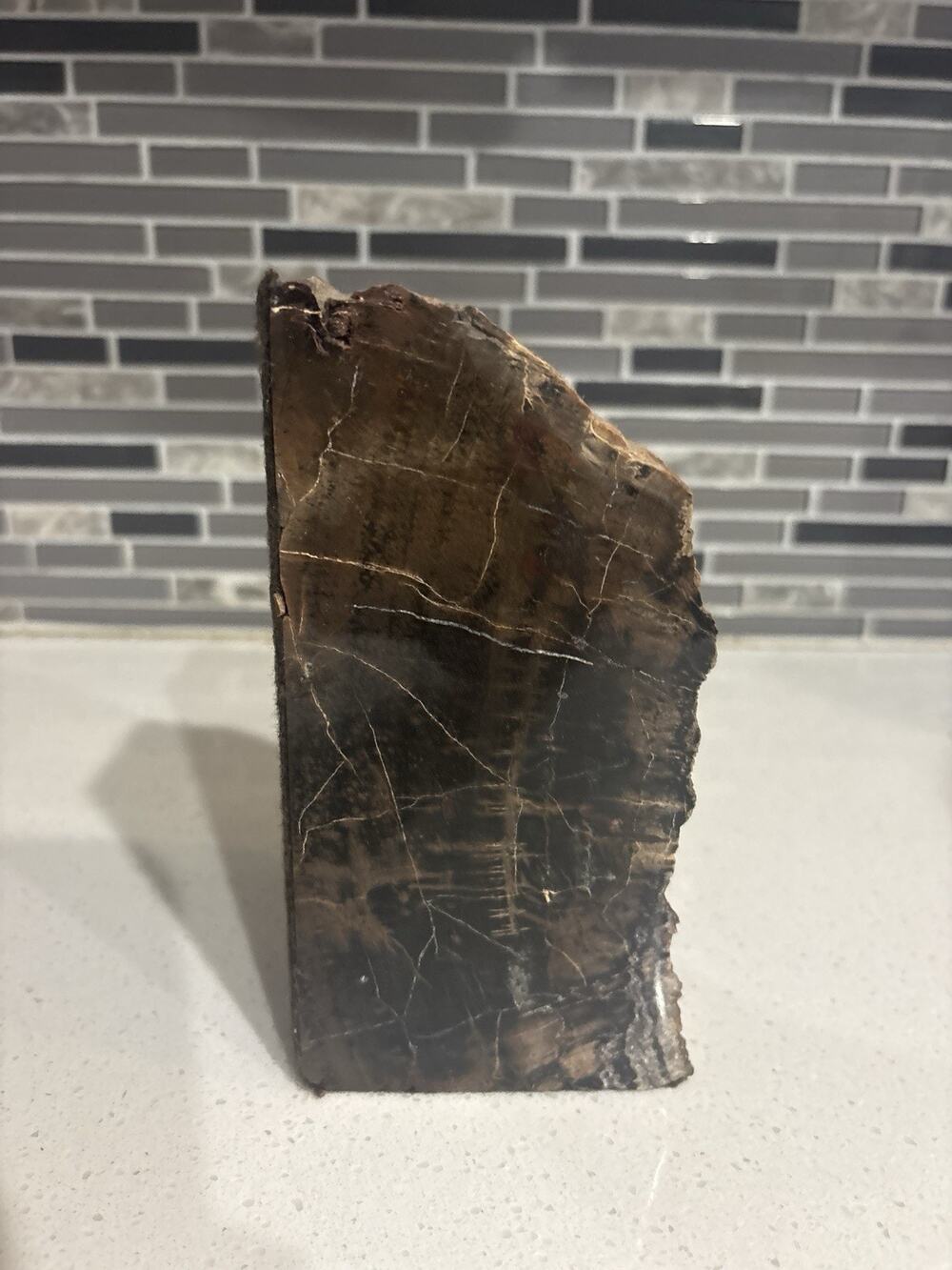 Vintage Petrified Wood Heavy Bookend Polished Stone
